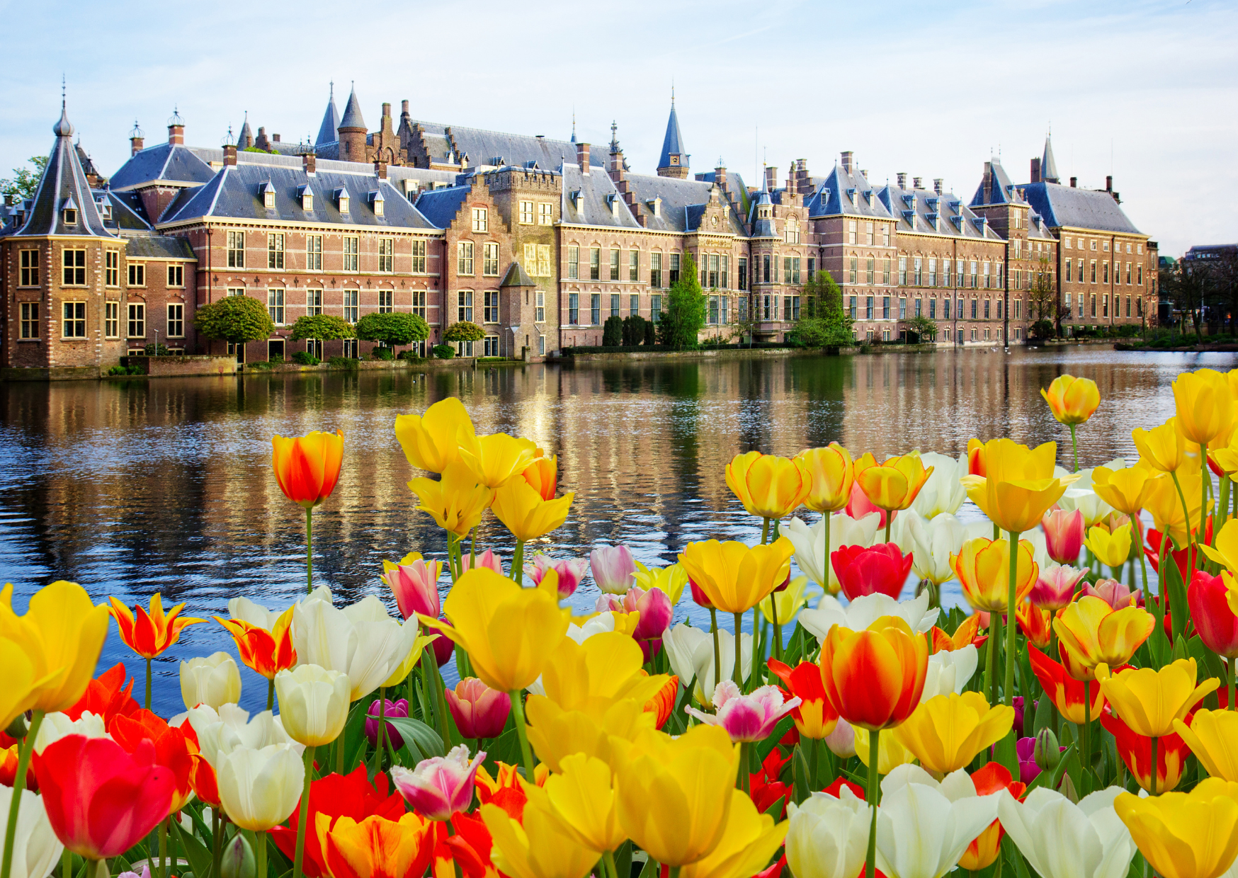 荷蘭比利時盧森堡花季;羊角村; 鬱金香公園Keukenhof;德侯格洛威森林國家公園;阿姆斯特丹;庫肯霍夫國家公園 ;比利時根特;布魯日Bruges